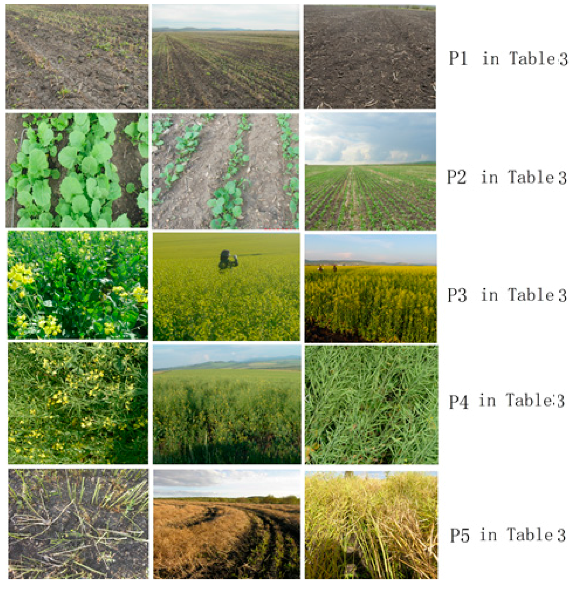 Remotesensing 10 00206 g004