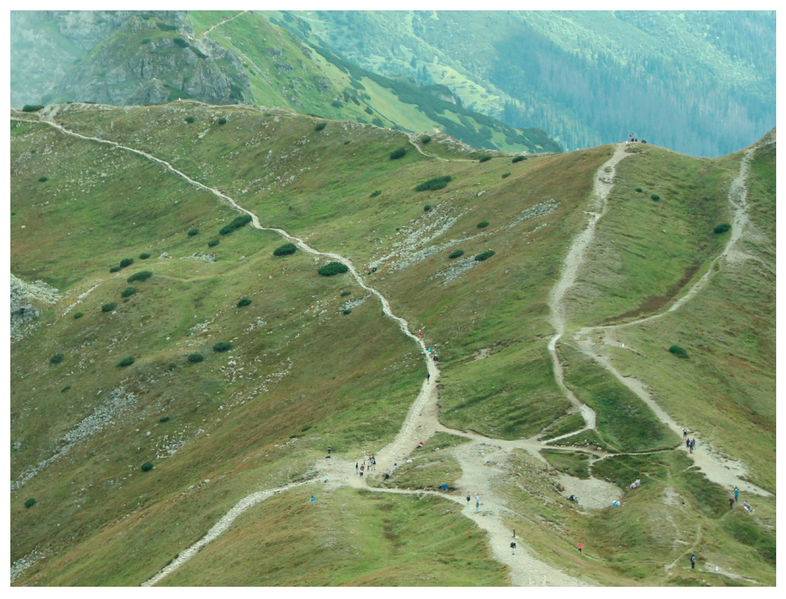 Remotesensing 10 00220 g001