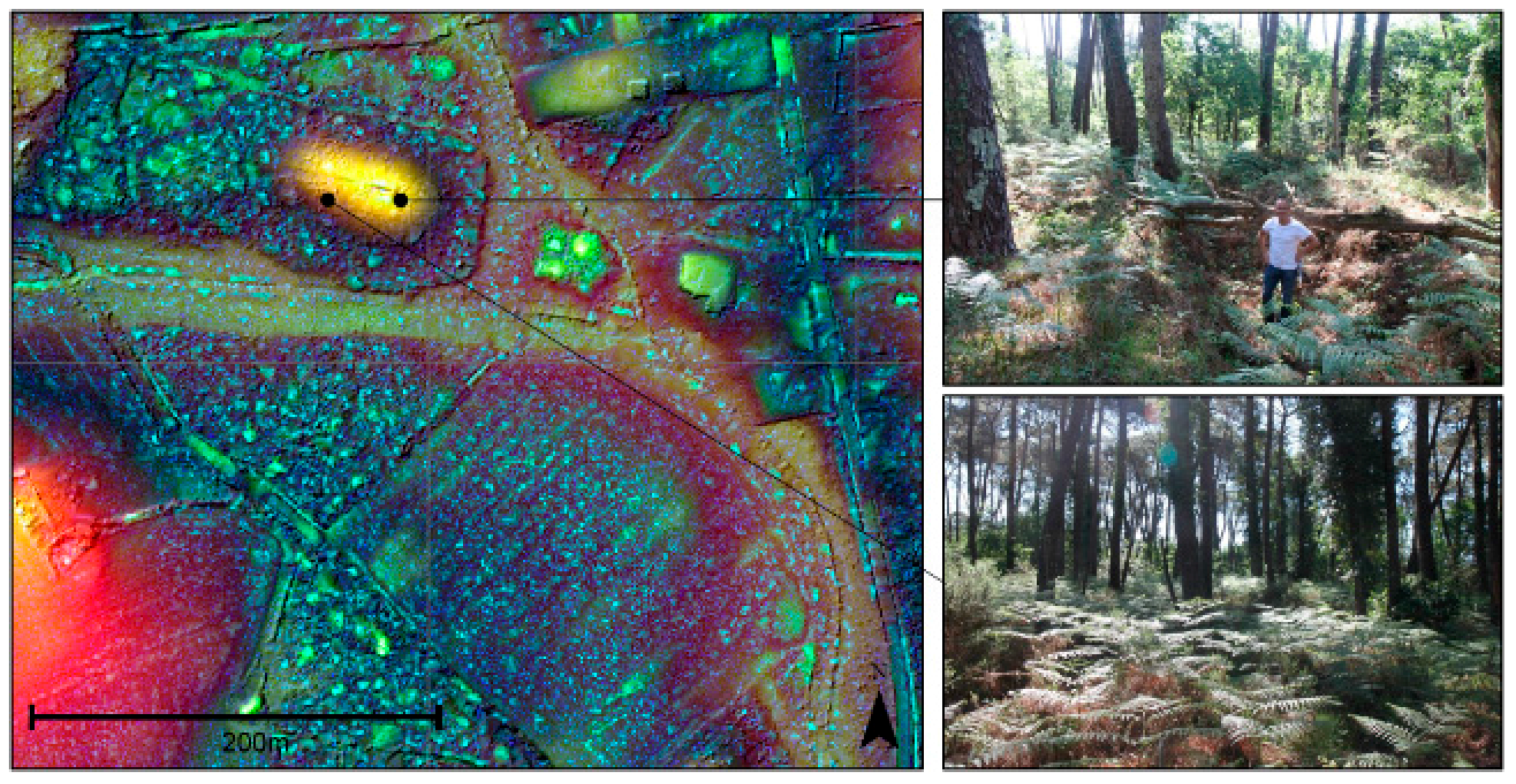 Remotesensing 10 00225 g015 550