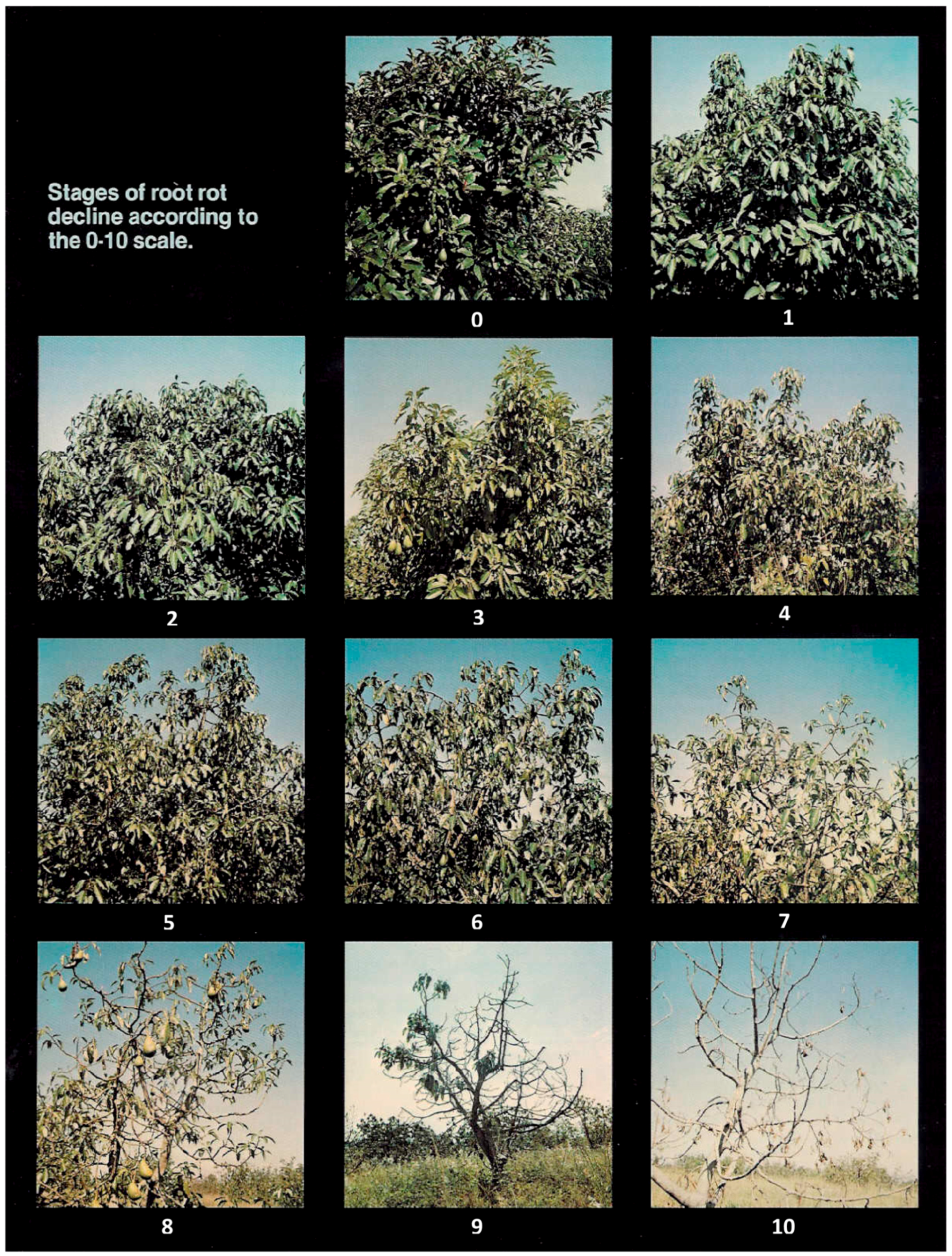 Remotesensing 10 00226 g001 Remotesensing 10 00226 g001