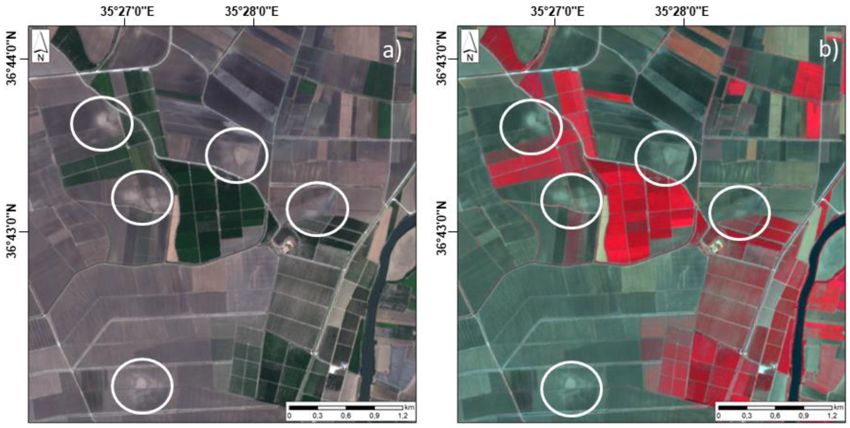 Remotesensing 10 00241 g003