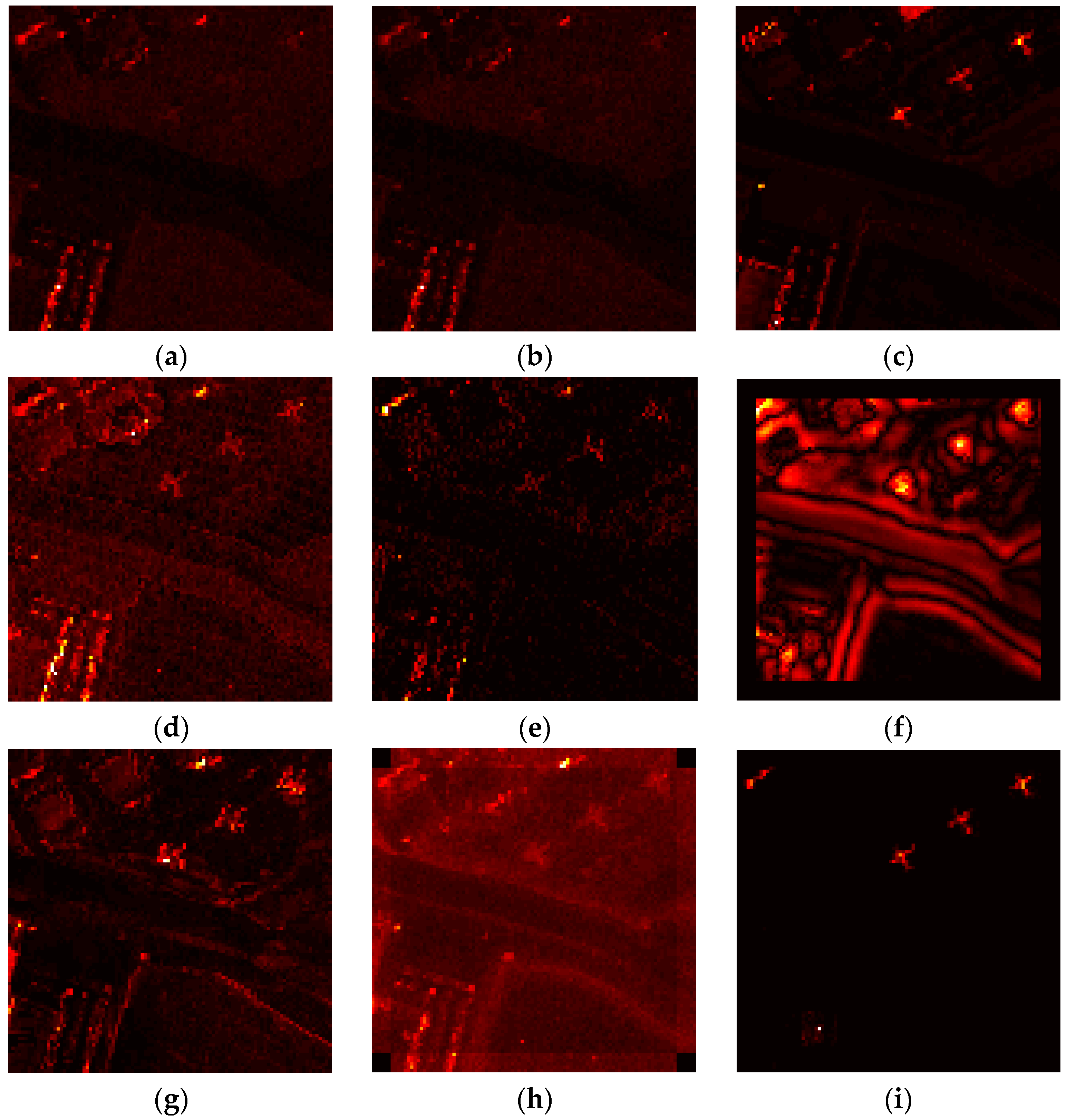 Remotesensing 10 00272 g011