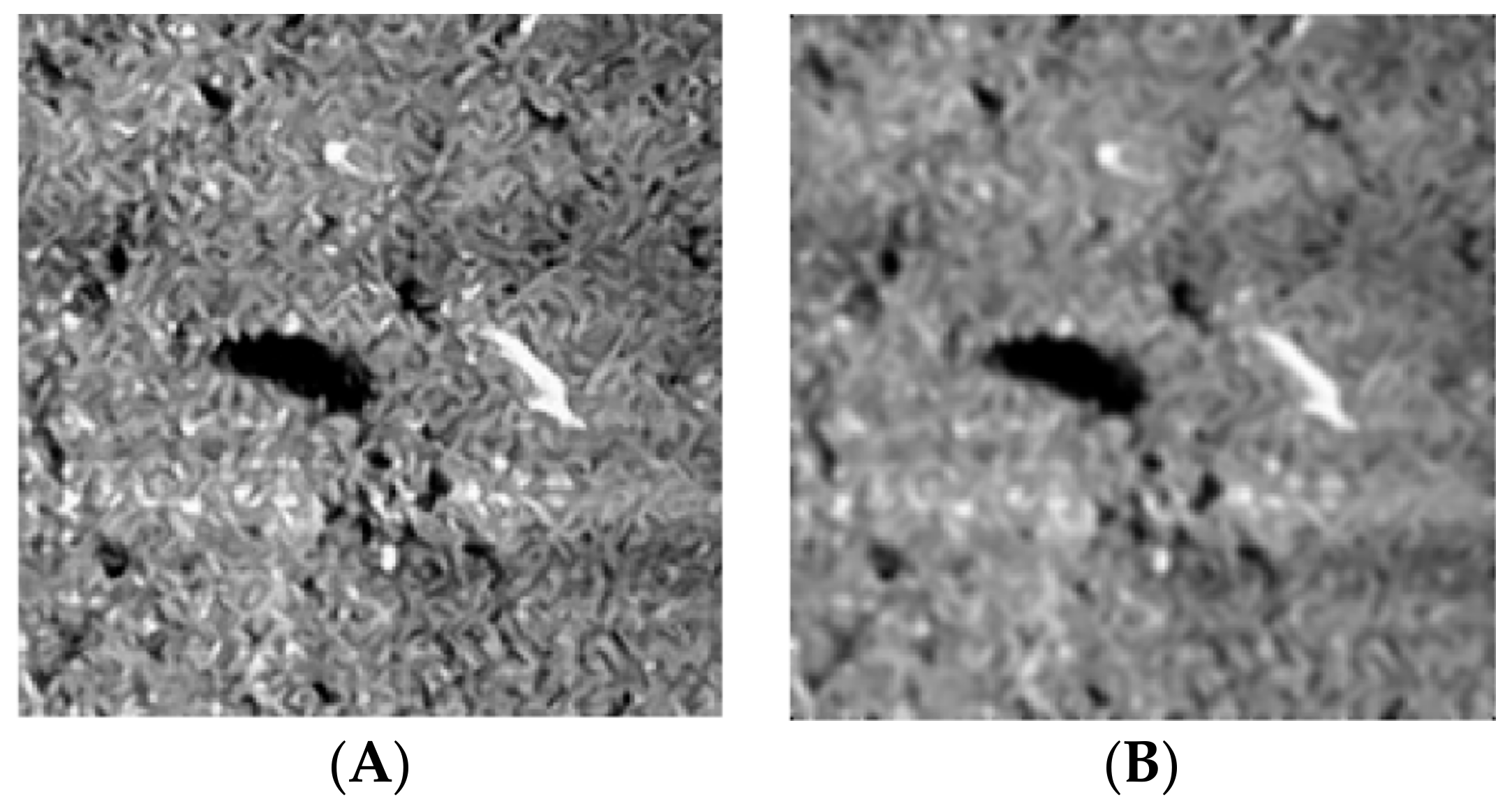 Remotesensing 10 00295 g007 550