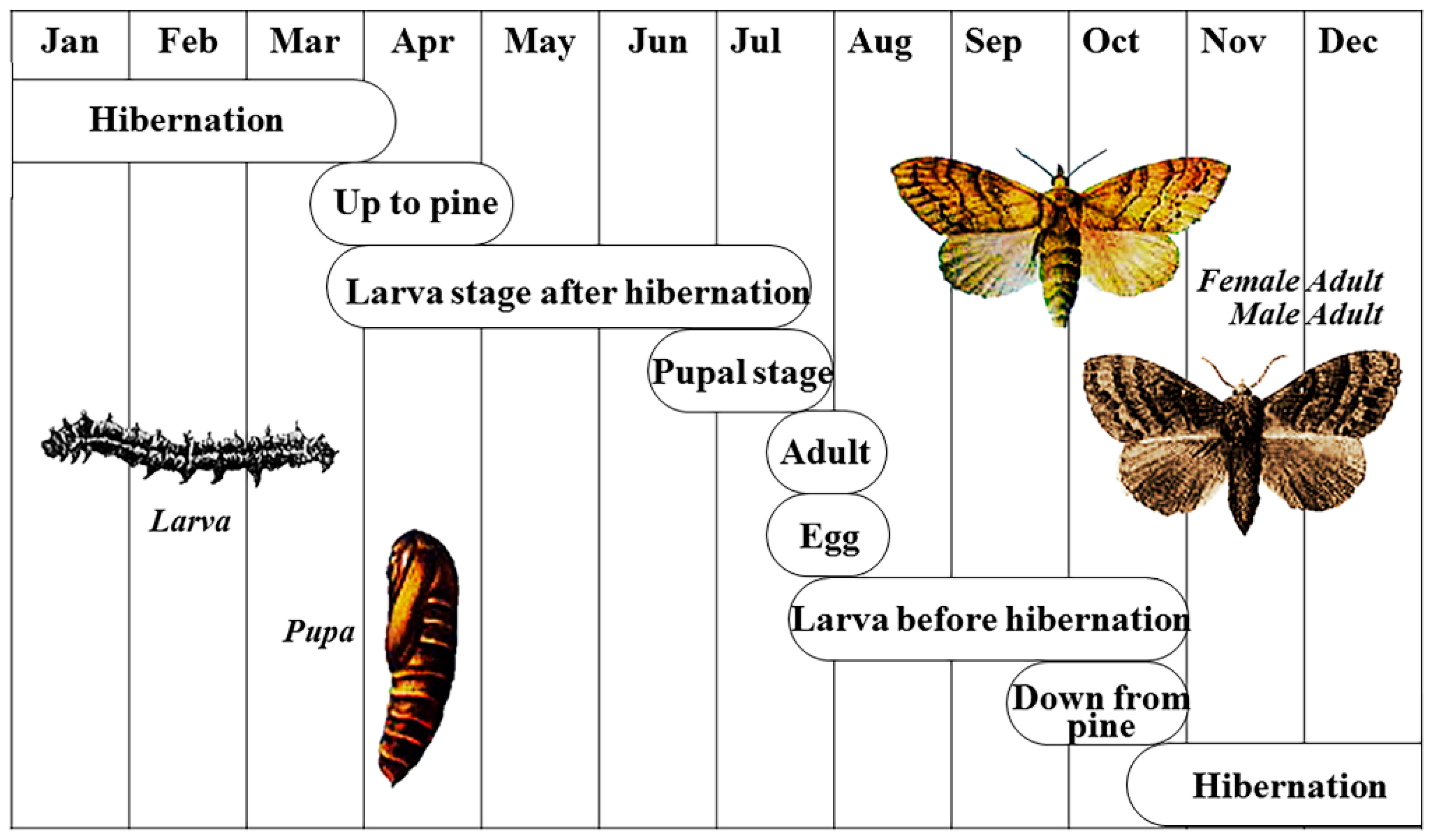 Remotesensing 10 00360 g002 550