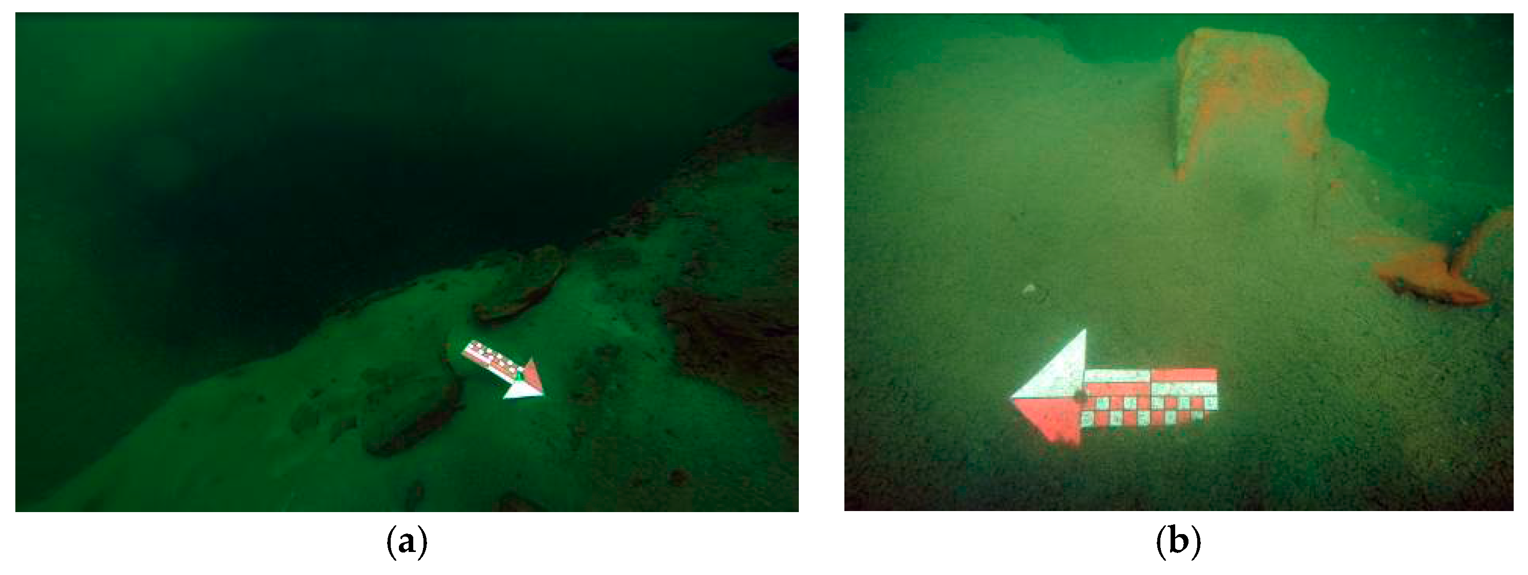 Remotesensing 10 00380 g013 550