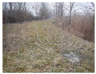 Remotesensing 10 00380 i007