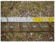 Remotesensing 10 00380 i009