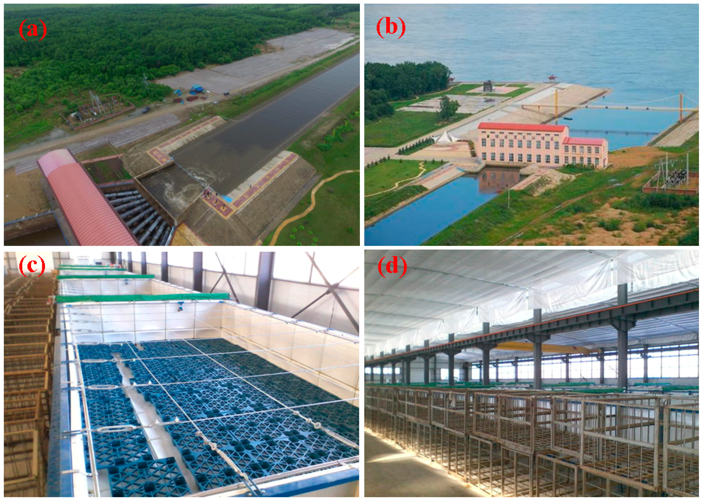 Remotesensing 10 00384 g012 550