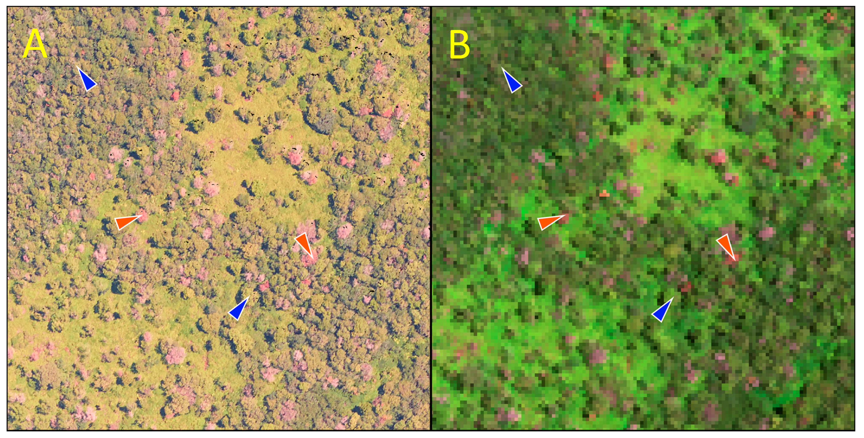 Remotesensing 10 00404 g002