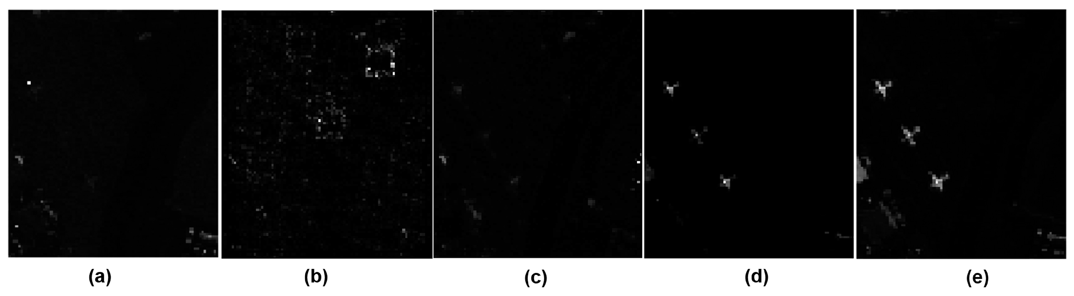 Remotesensing 10 00417 g010