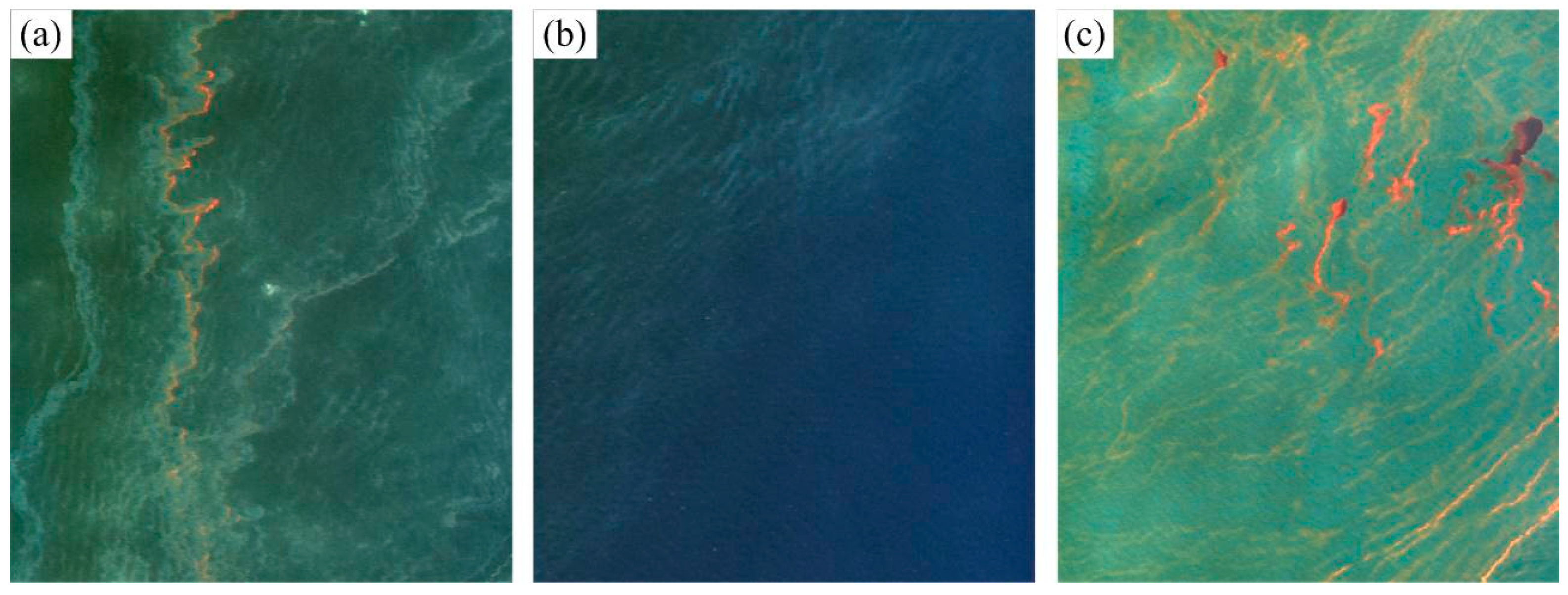 Remotesensing 10 00421 g002