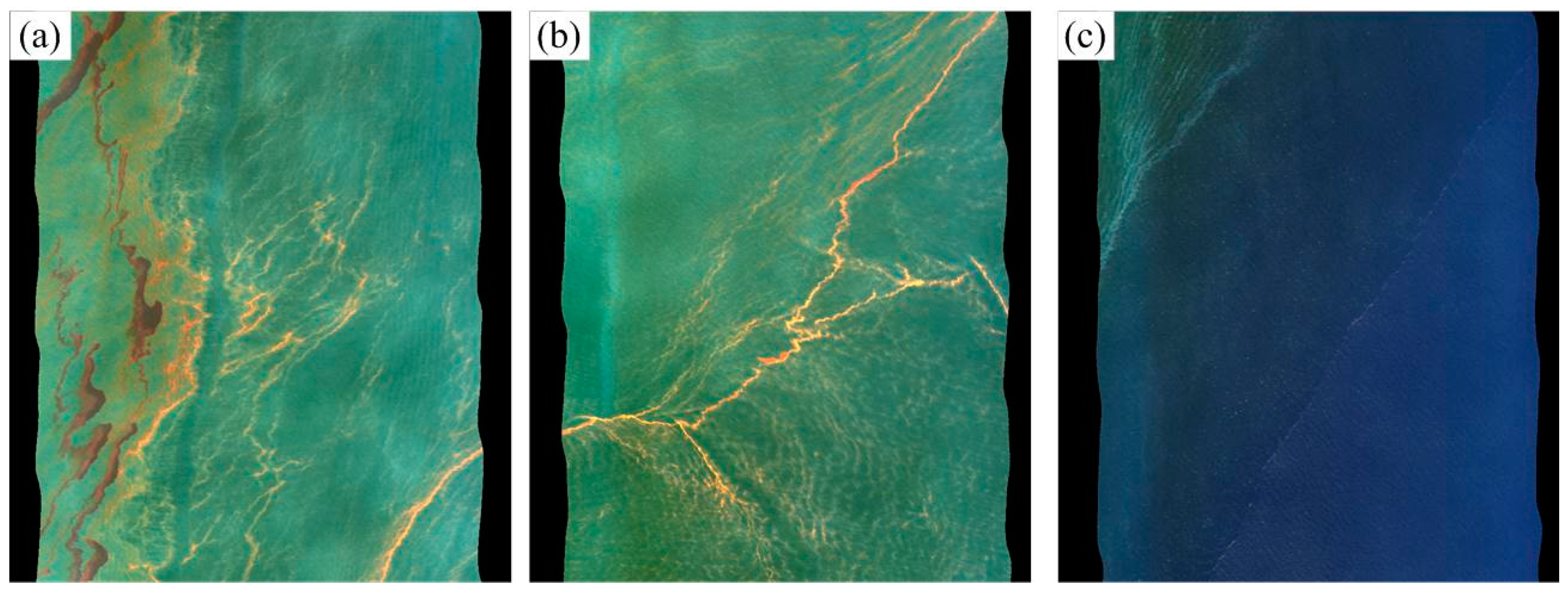 Remotesensing 10 00421 g003