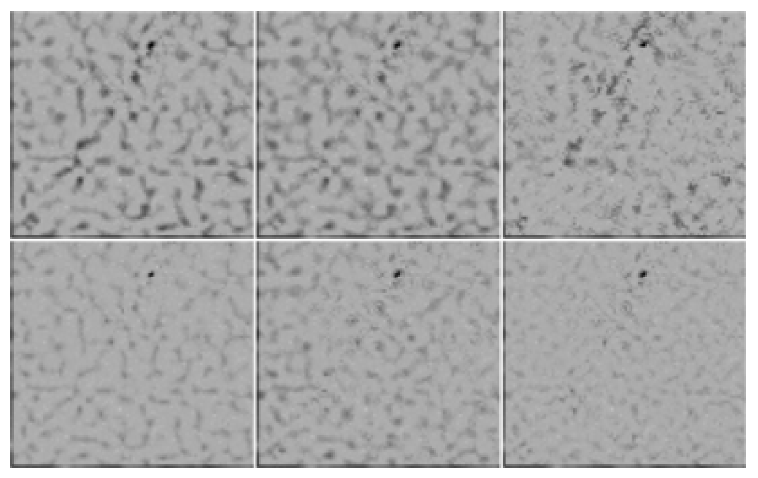 Remotesensing 10 00439 g008 550