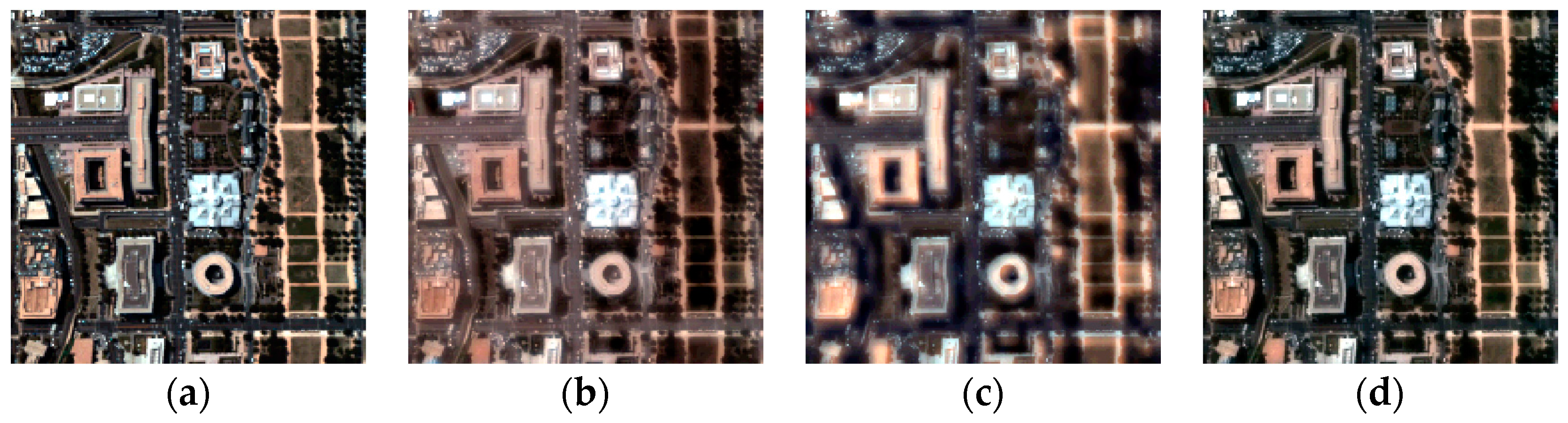 Remotesensing 10 00445 g009a