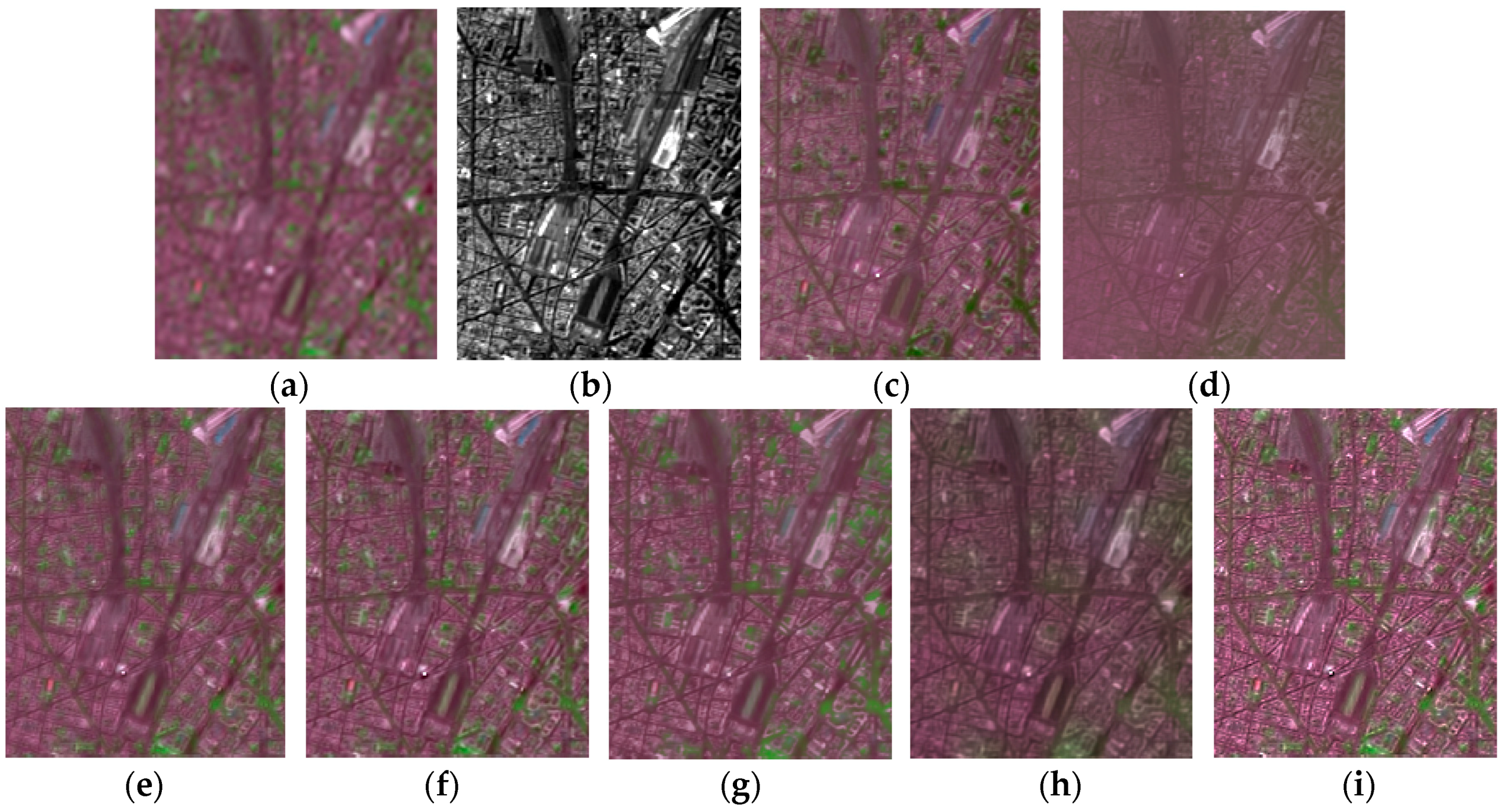 Remotesensing 10 00445 g011