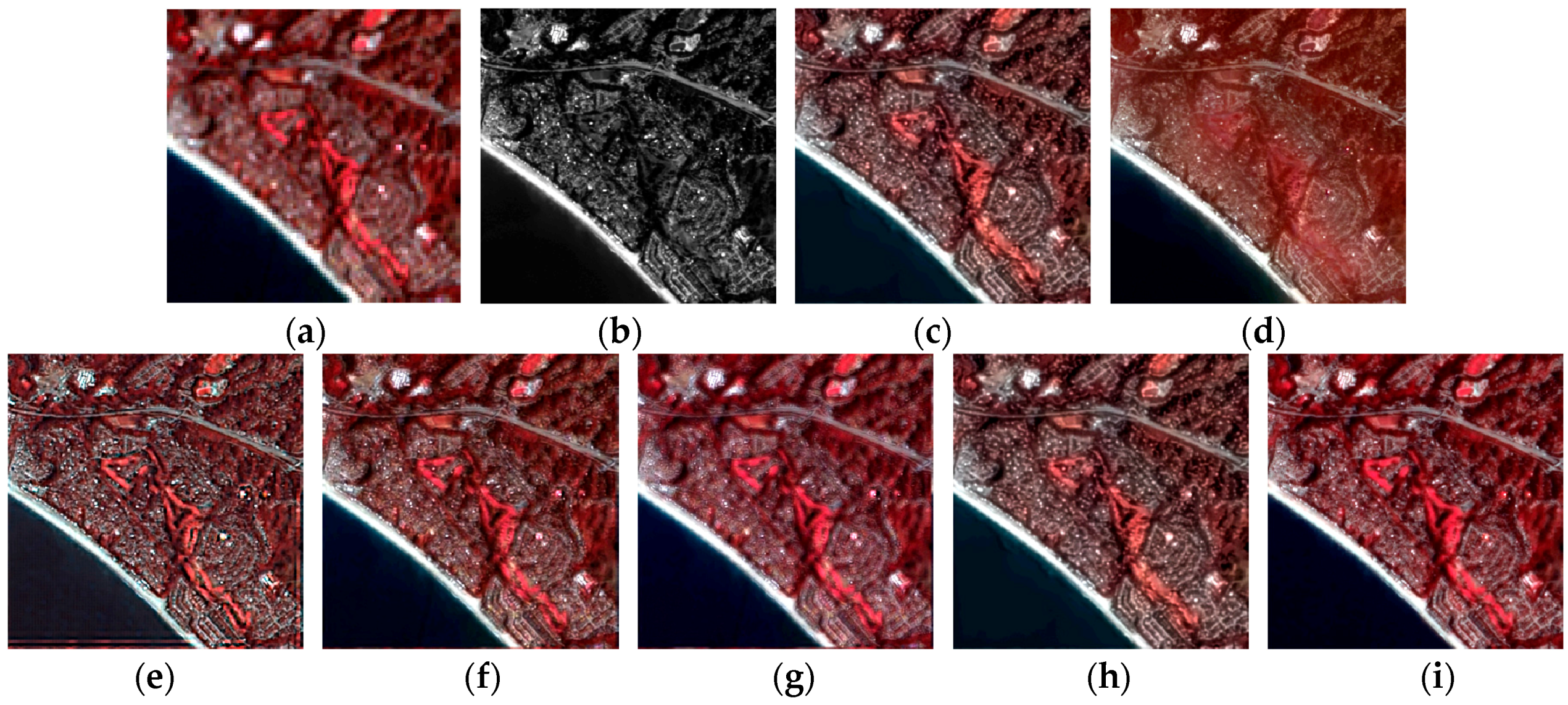 Remotesensing 10 00445 g012