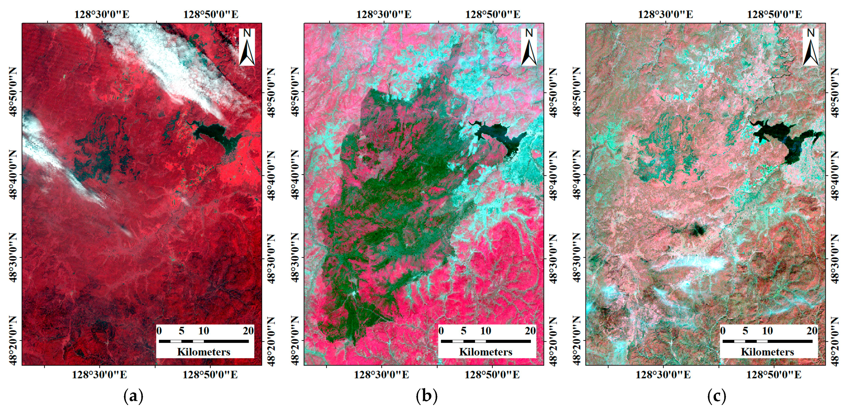 Remotesensing 10 00452 g002
