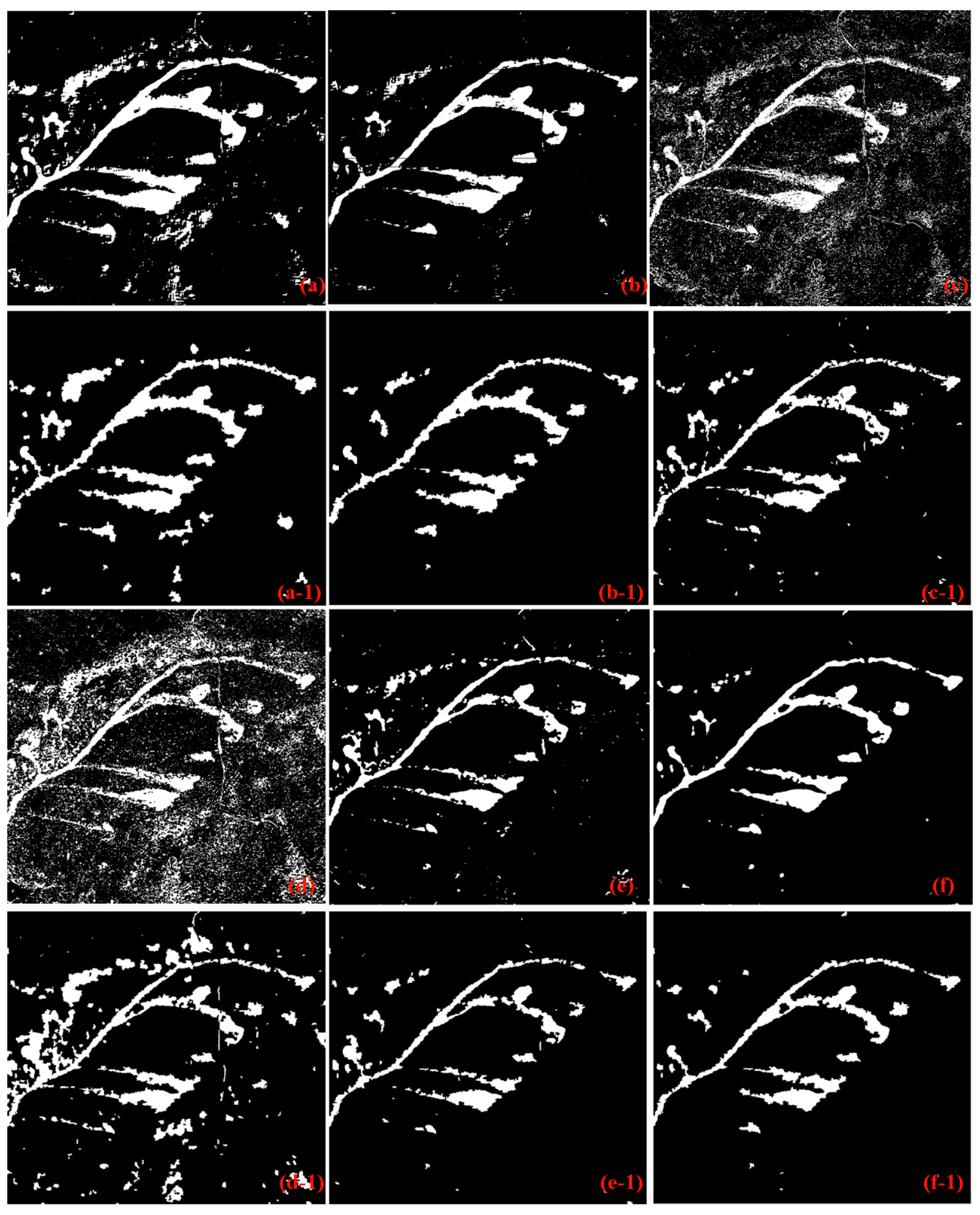 Remotesensing 10 00472 g007