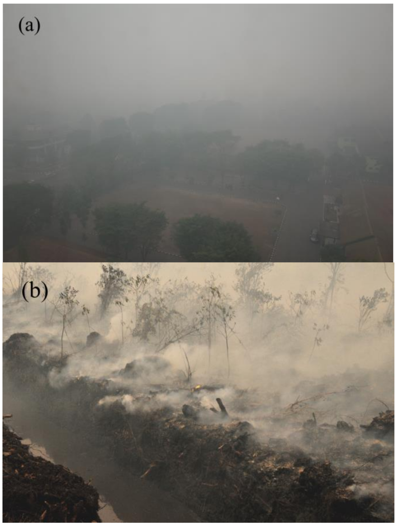 Remotesensing 10 00495 g002