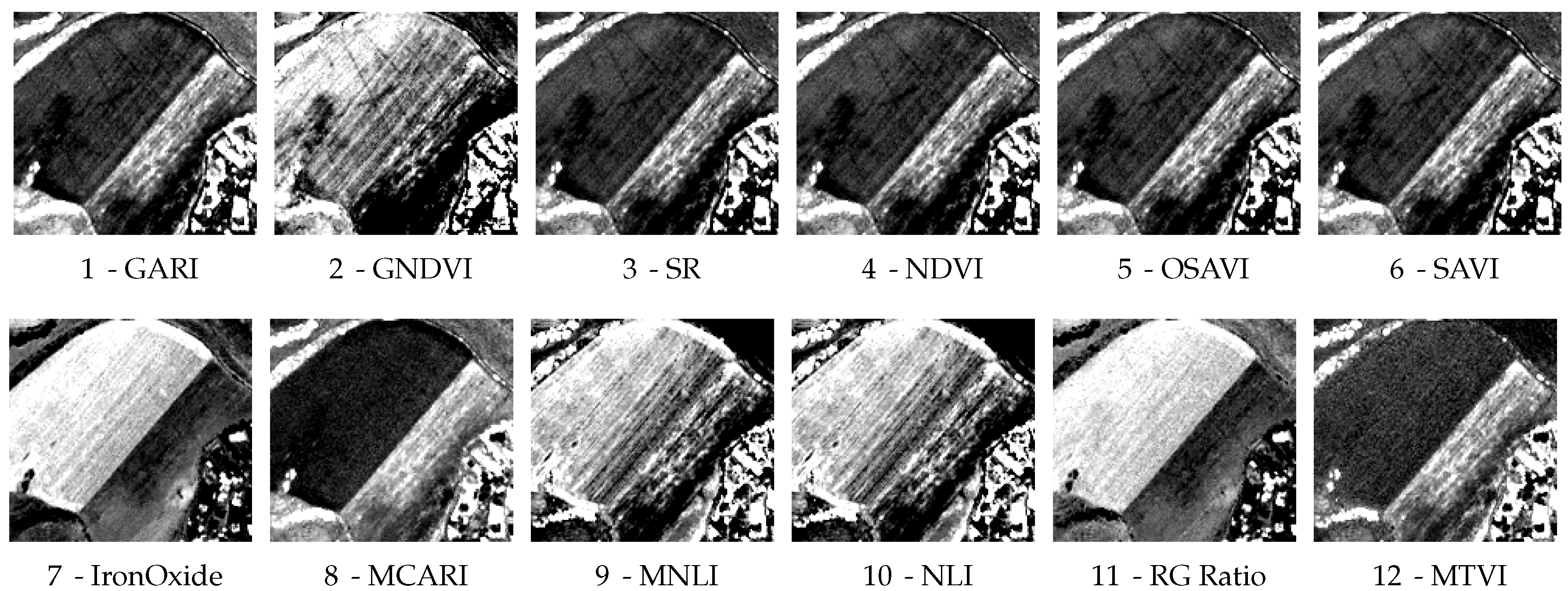 Remotesensing 10 00500 g014