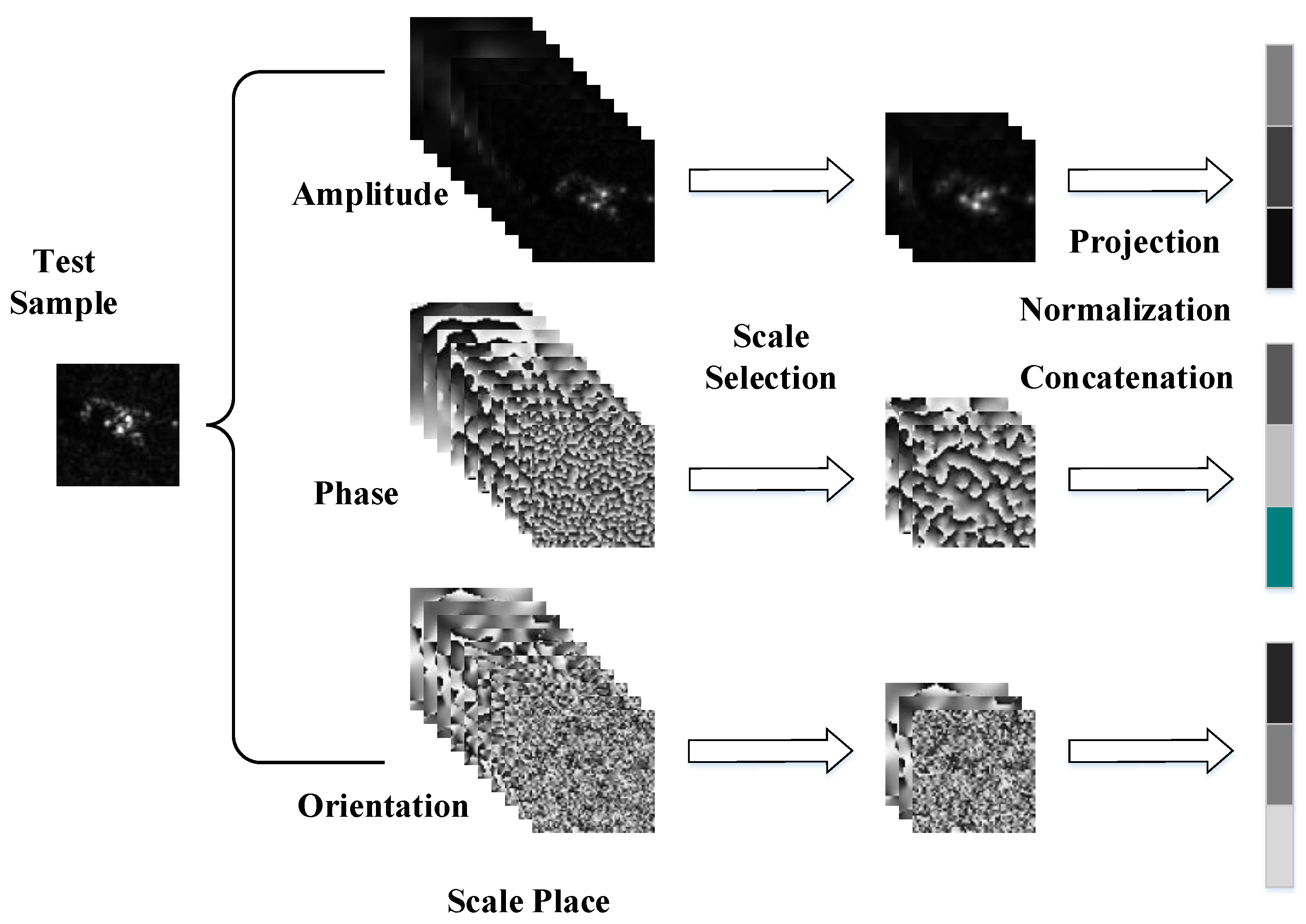 Remotesensing 10 00504 g002