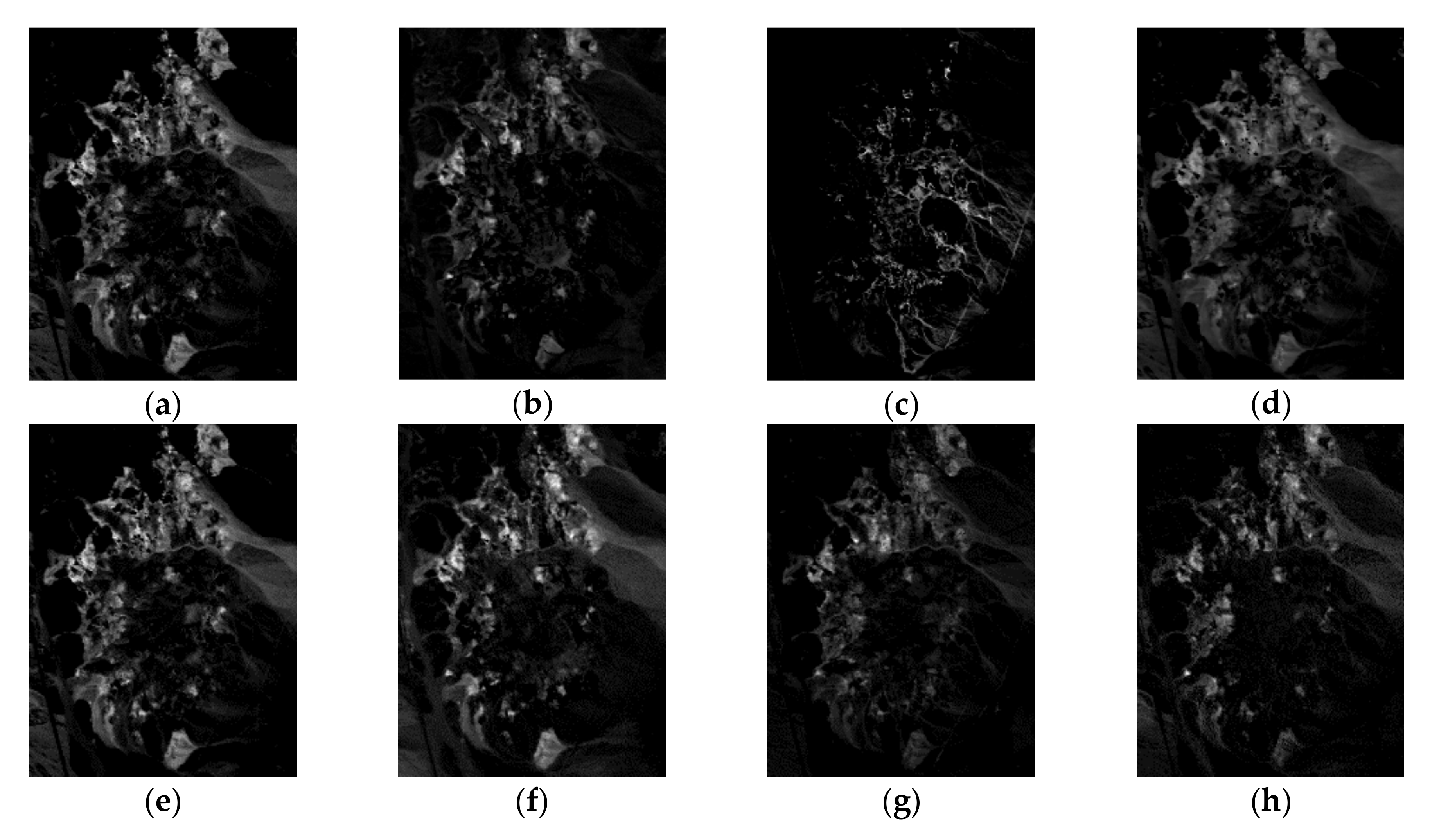 Remotesensing 10 00509 g019 550