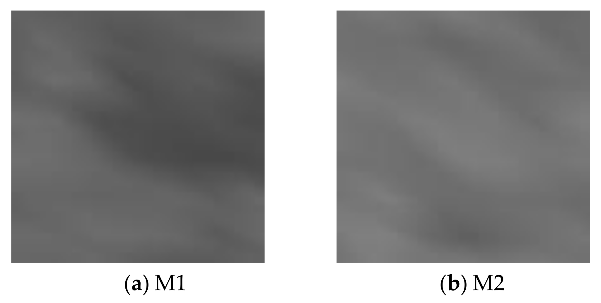 Remotesensing 10 00520 g001a