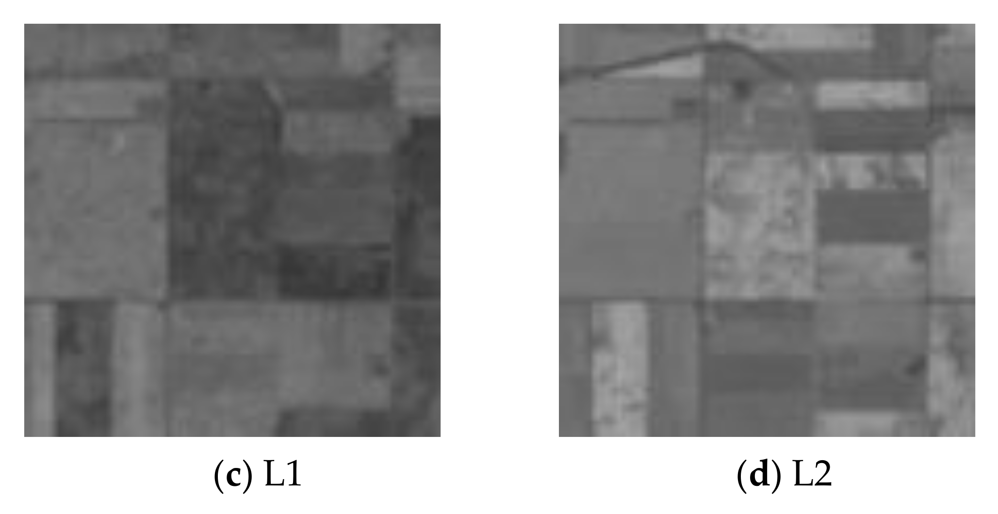 Remotesensing 10 00520 g001b