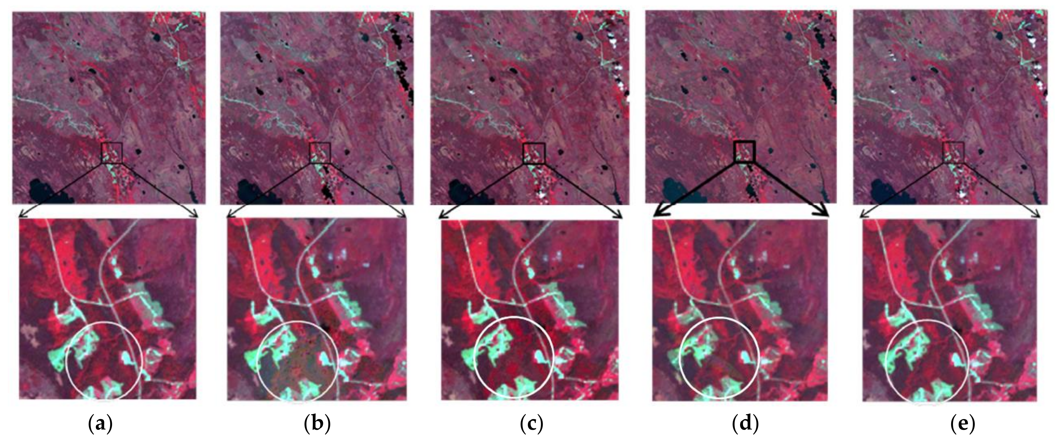 Remotesensing 10 00520 g006