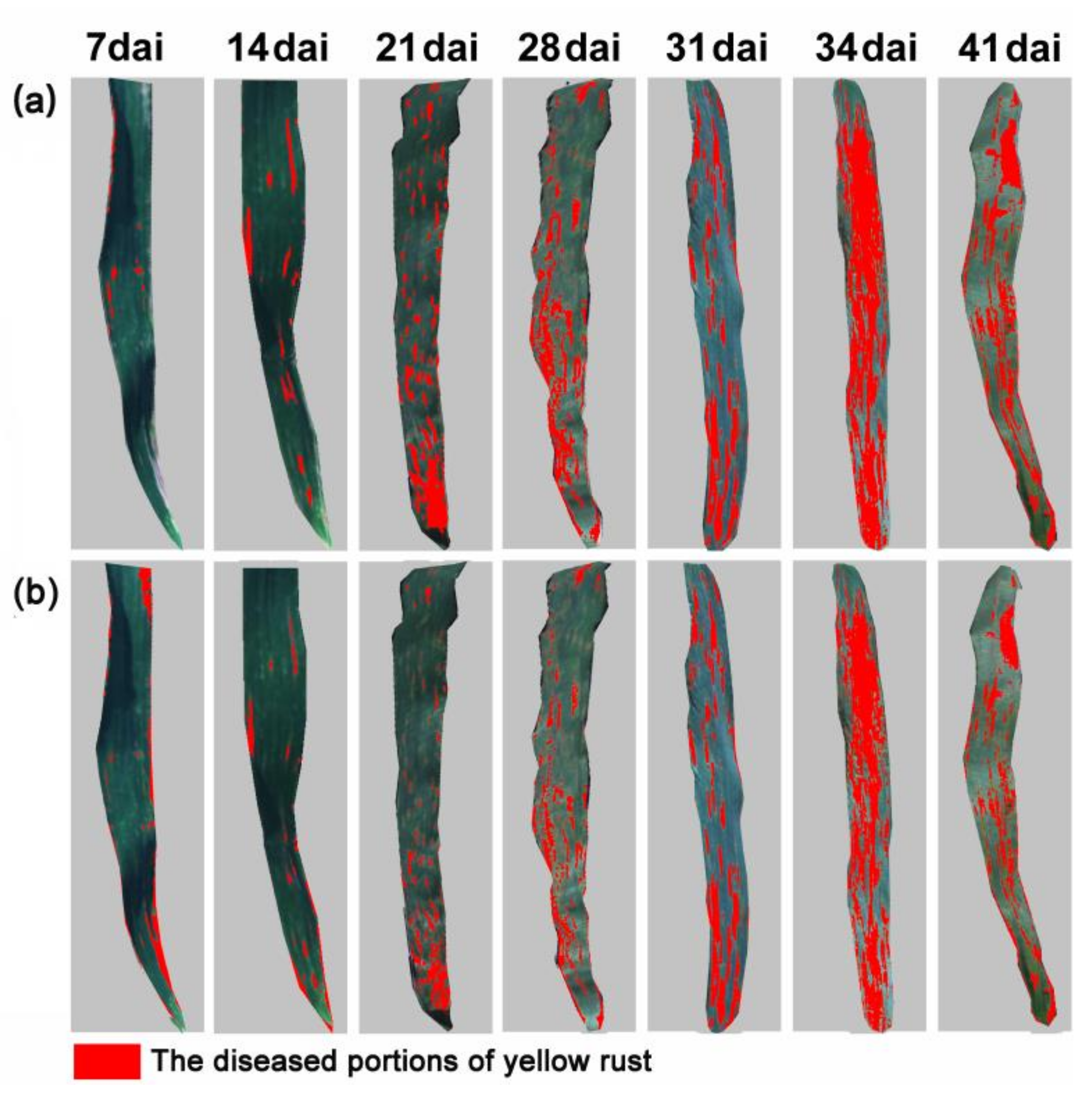 Remotesensing 10 00525 g008 550