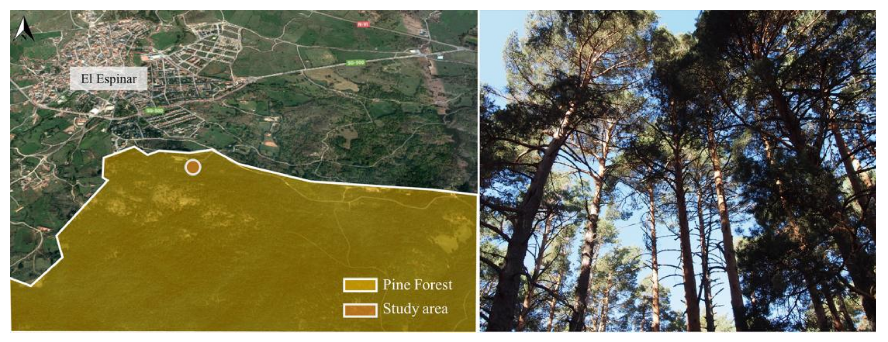 Remotesensing 10 00540 g004 Remotesensing 10 00540 g004