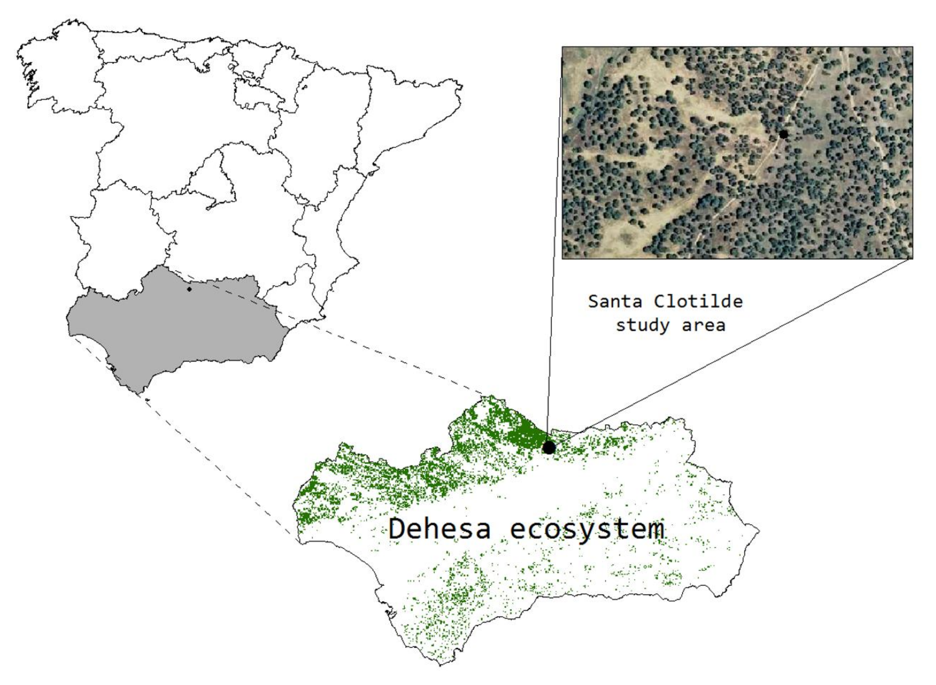 Remotesensing 10 00558 g001