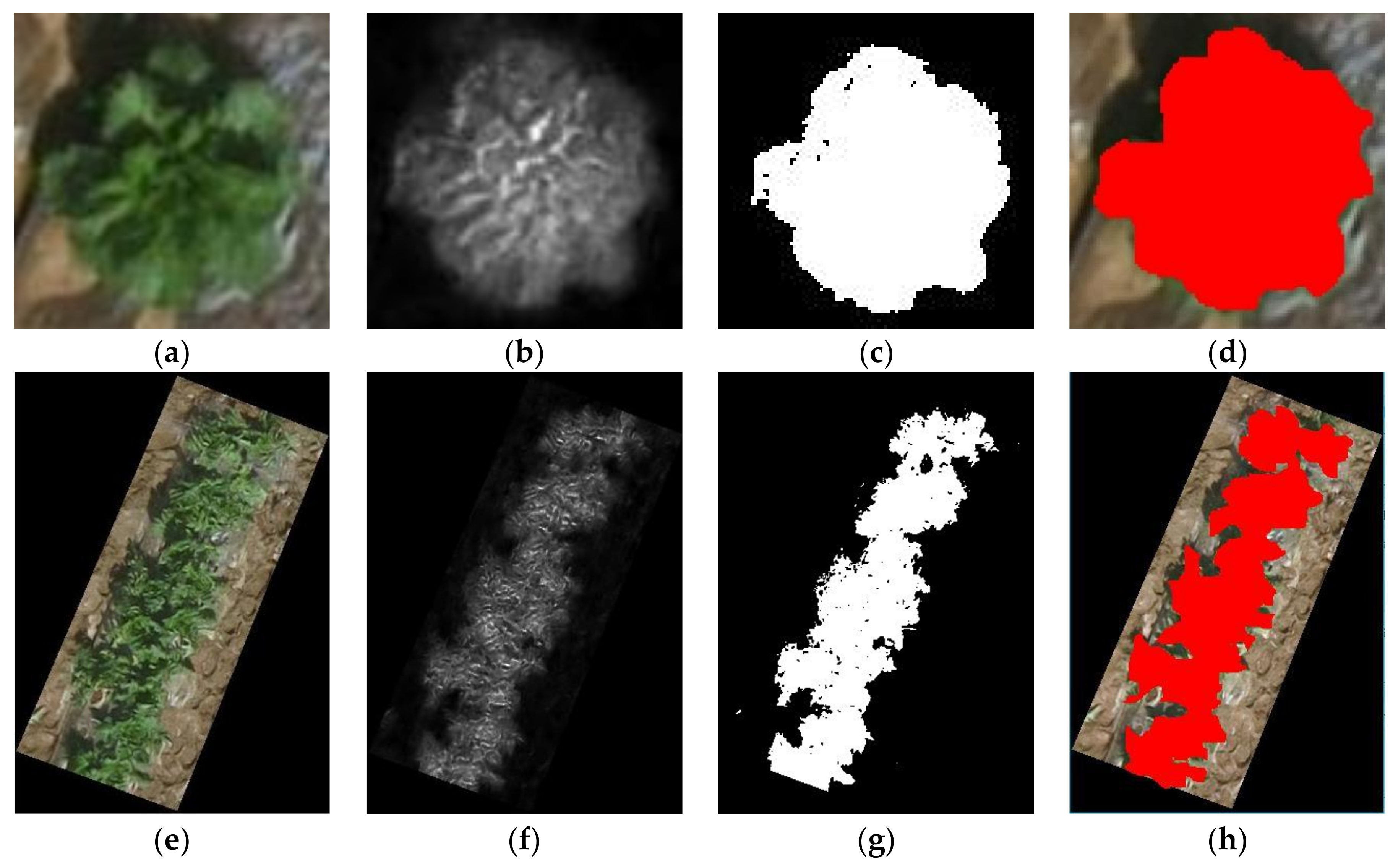 Remotesensing 10 00563 g008