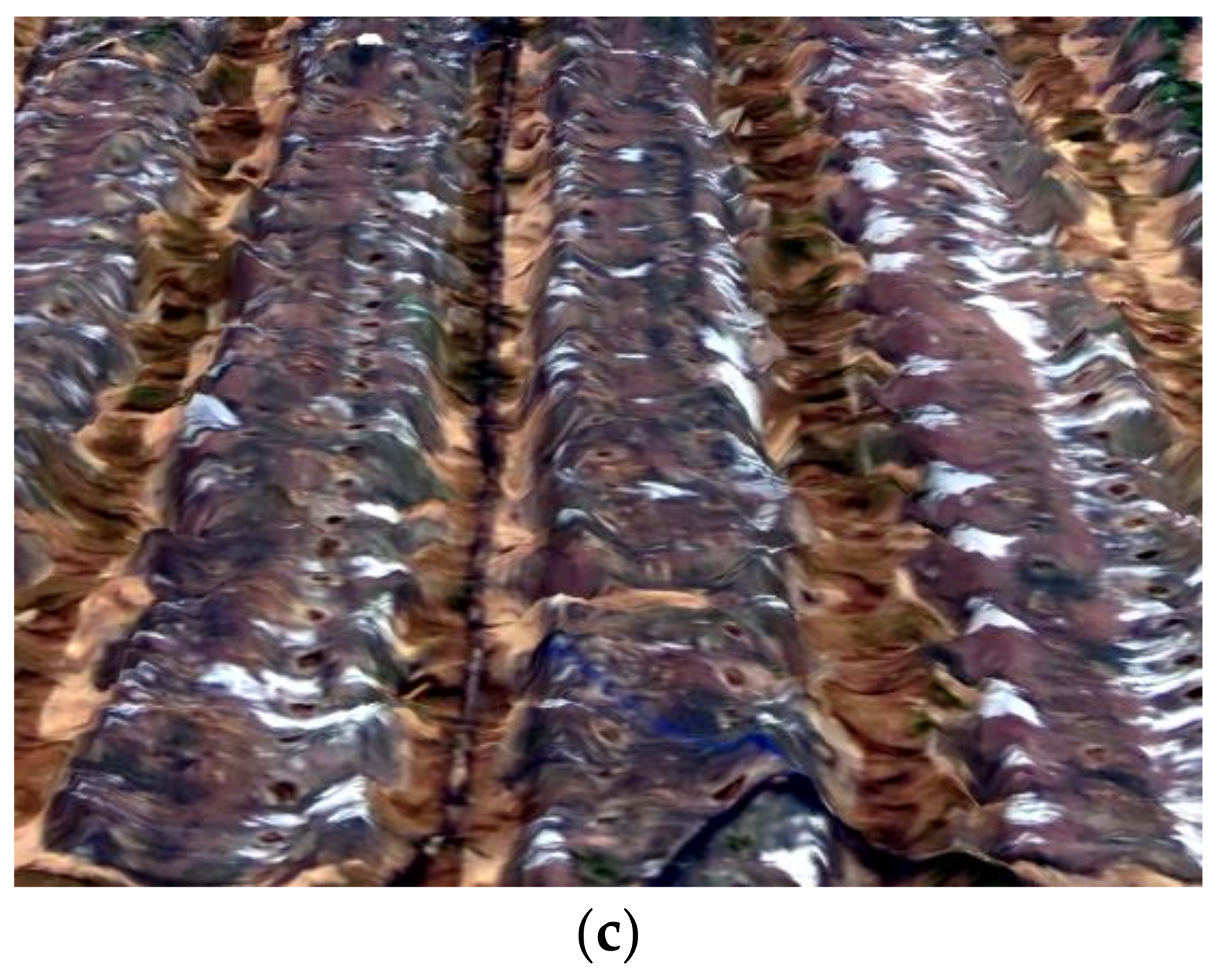 Remotesensing 10 00563 g009b