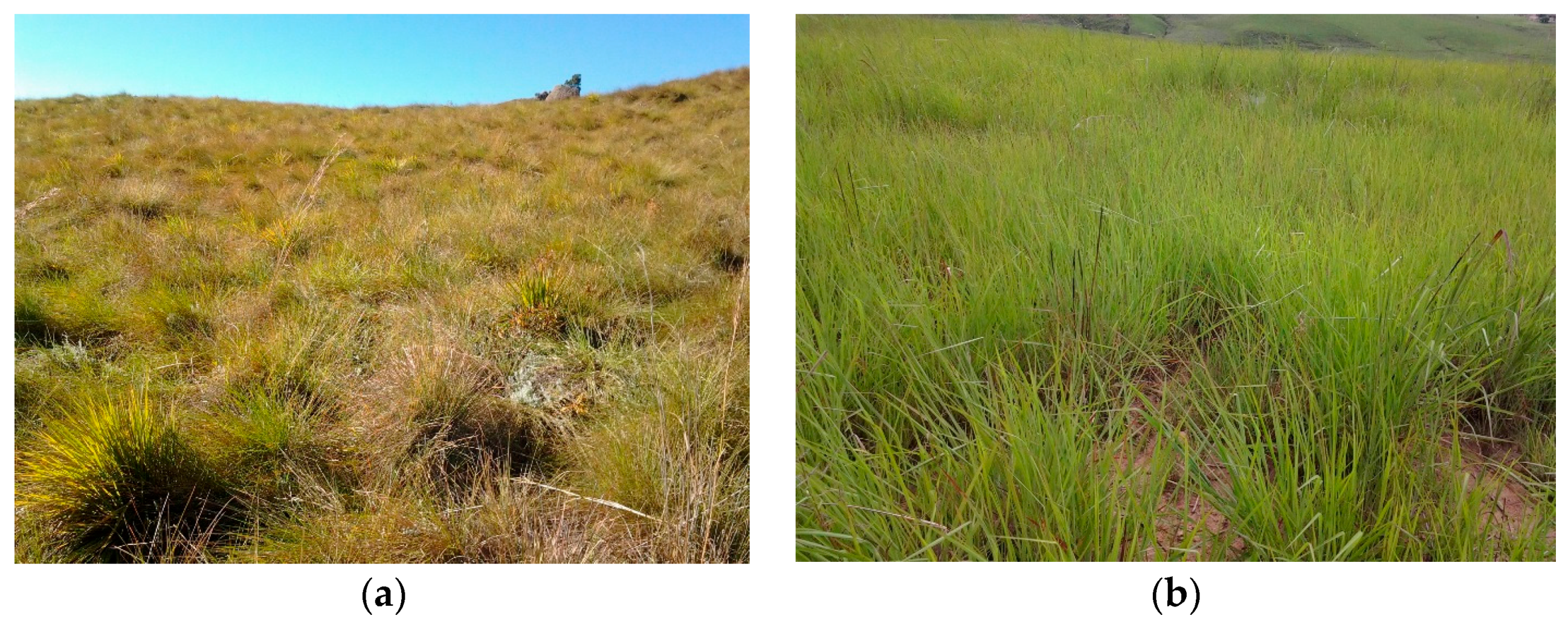 Remotesensing 10 00564 g002 Remotesensing 10 00564 g002