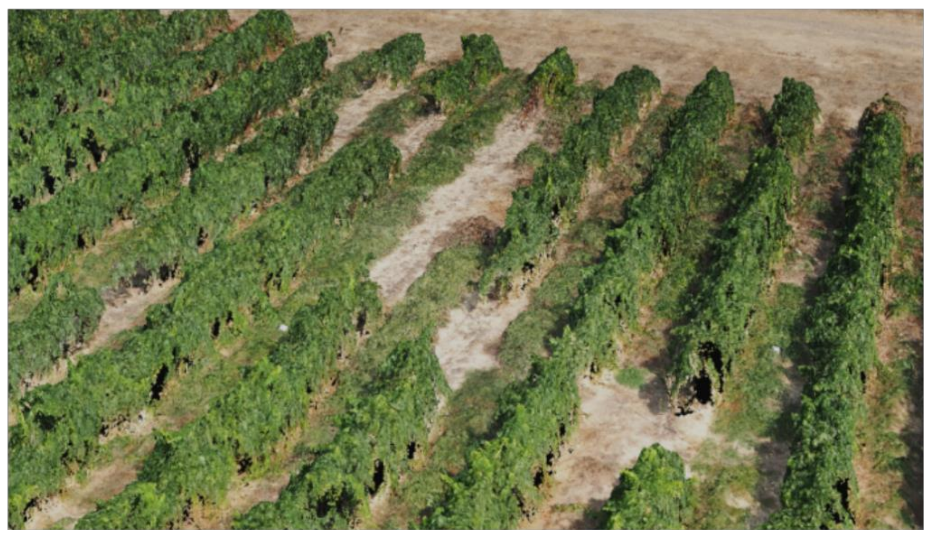 Remotesensing 10 00584 g002