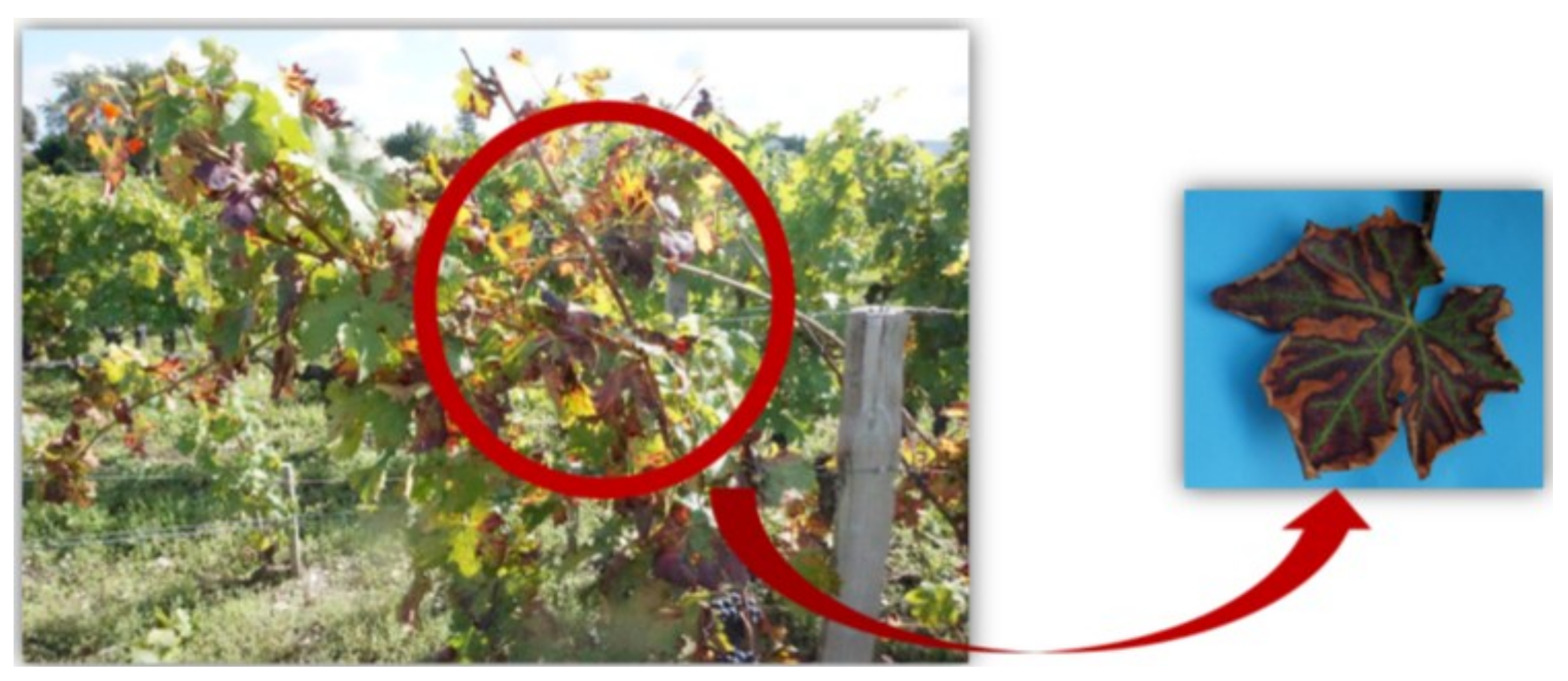 Remotesensing 10 00618 g001