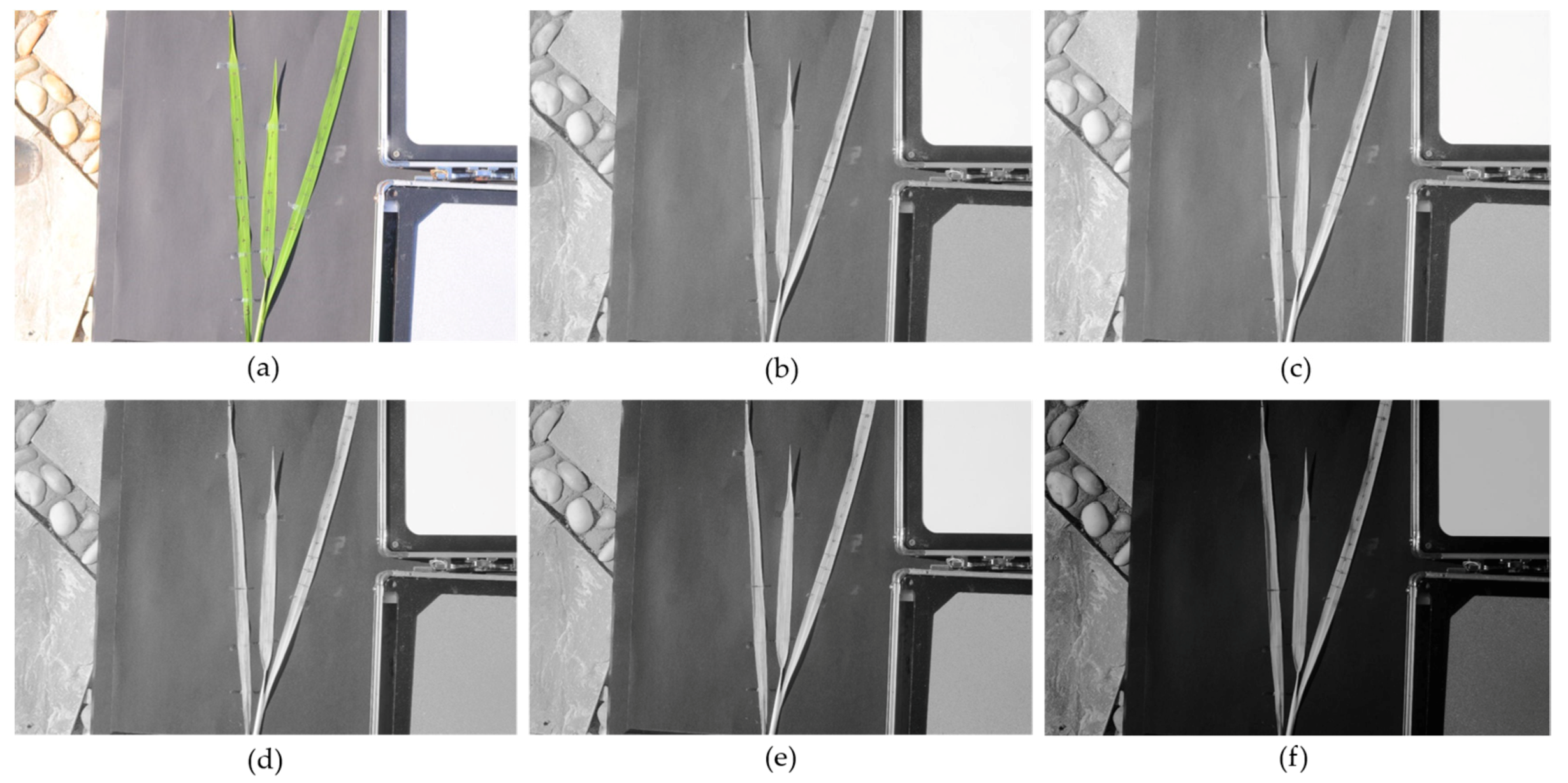 Remotesensing 10 00663 g002 550