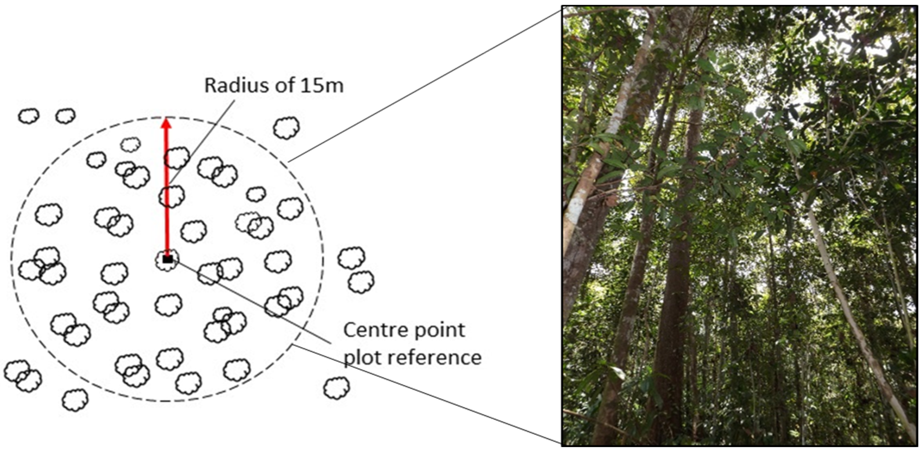 Remotesensing 10 00671 g002