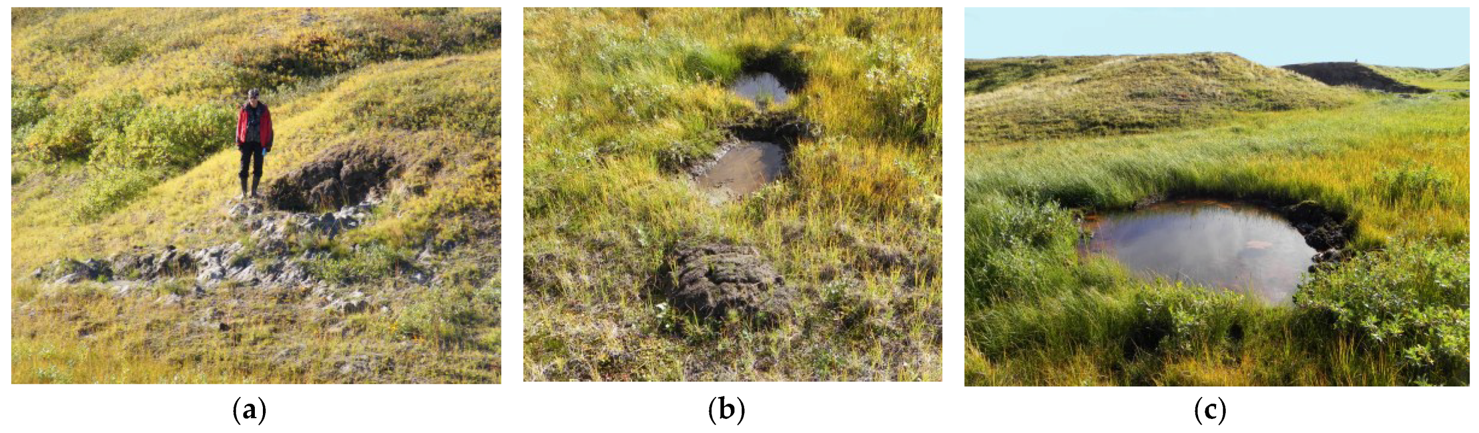 Remotesensing 10 00677 g013