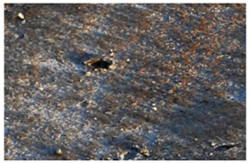 Remotesensing 10 00677 i001