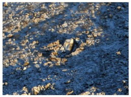 Remotesensing 10 00677 i004