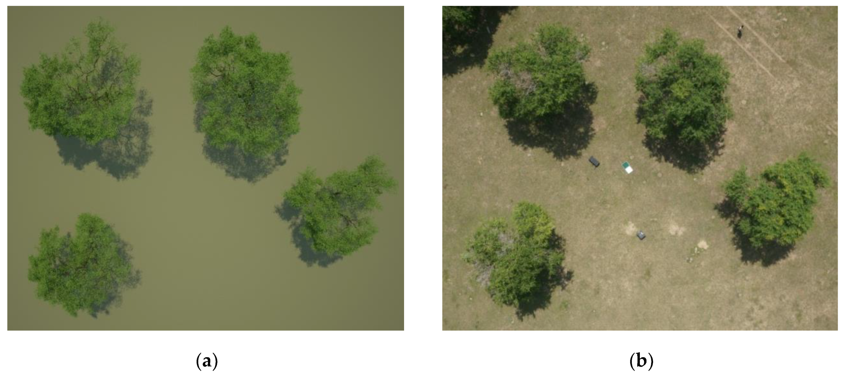 Remotesensing 10 00686 g003