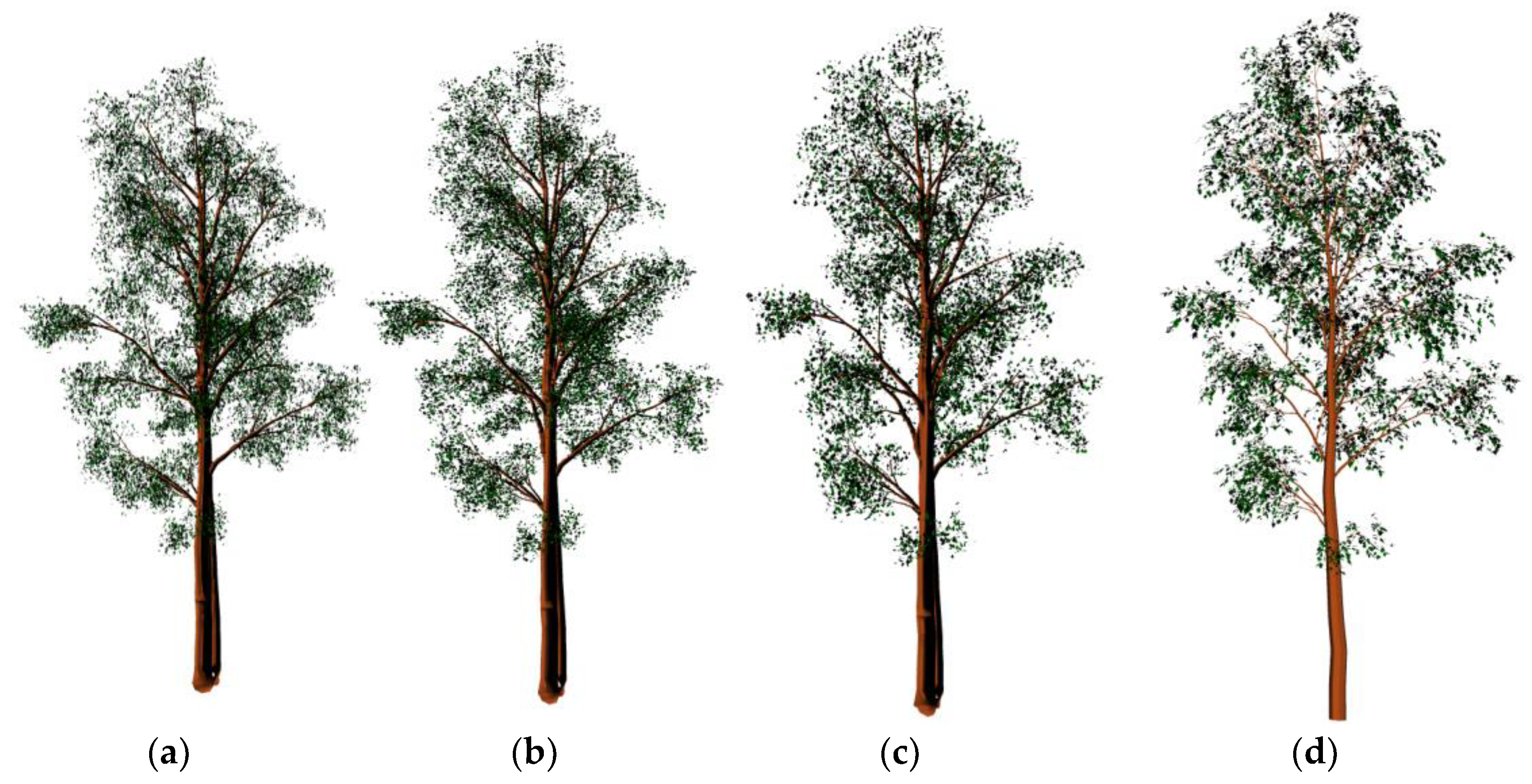 LeWoS: A universal leaf‐wood classification method to facilitate the 3D  modelling of large tropical trees using terrestrial LiDAR - Wang - 2020 -  Methods in Ecology and Evolution - Wiley Online Library