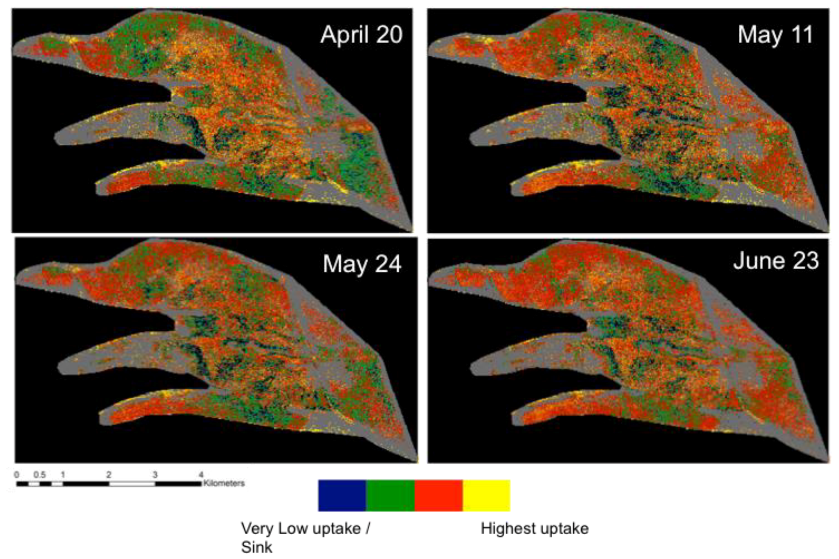 Remotesensing 10 00687 g010