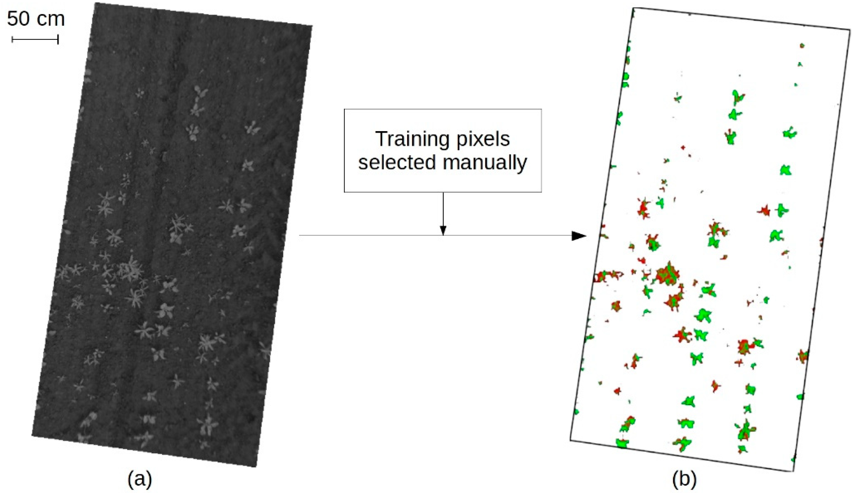 Remotesensing 10 00761 g009