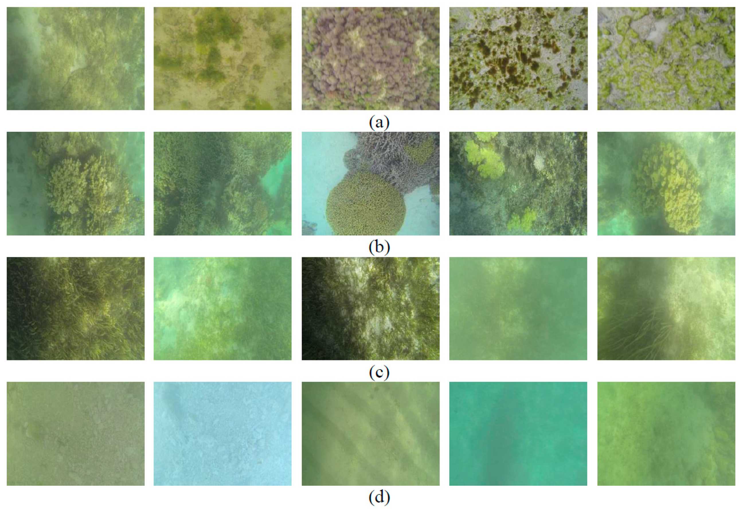 Remotesensing 10 00773 g002 Remotesensing 10 00773 g002