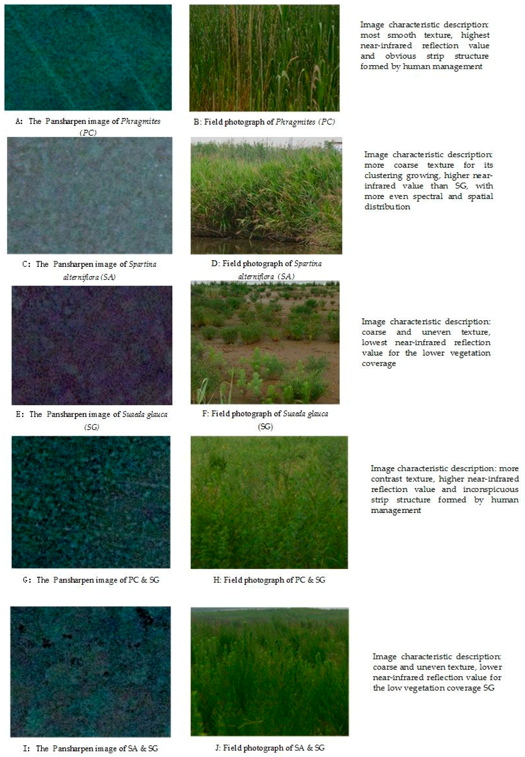 Remotesensing 10 00778 g002 550