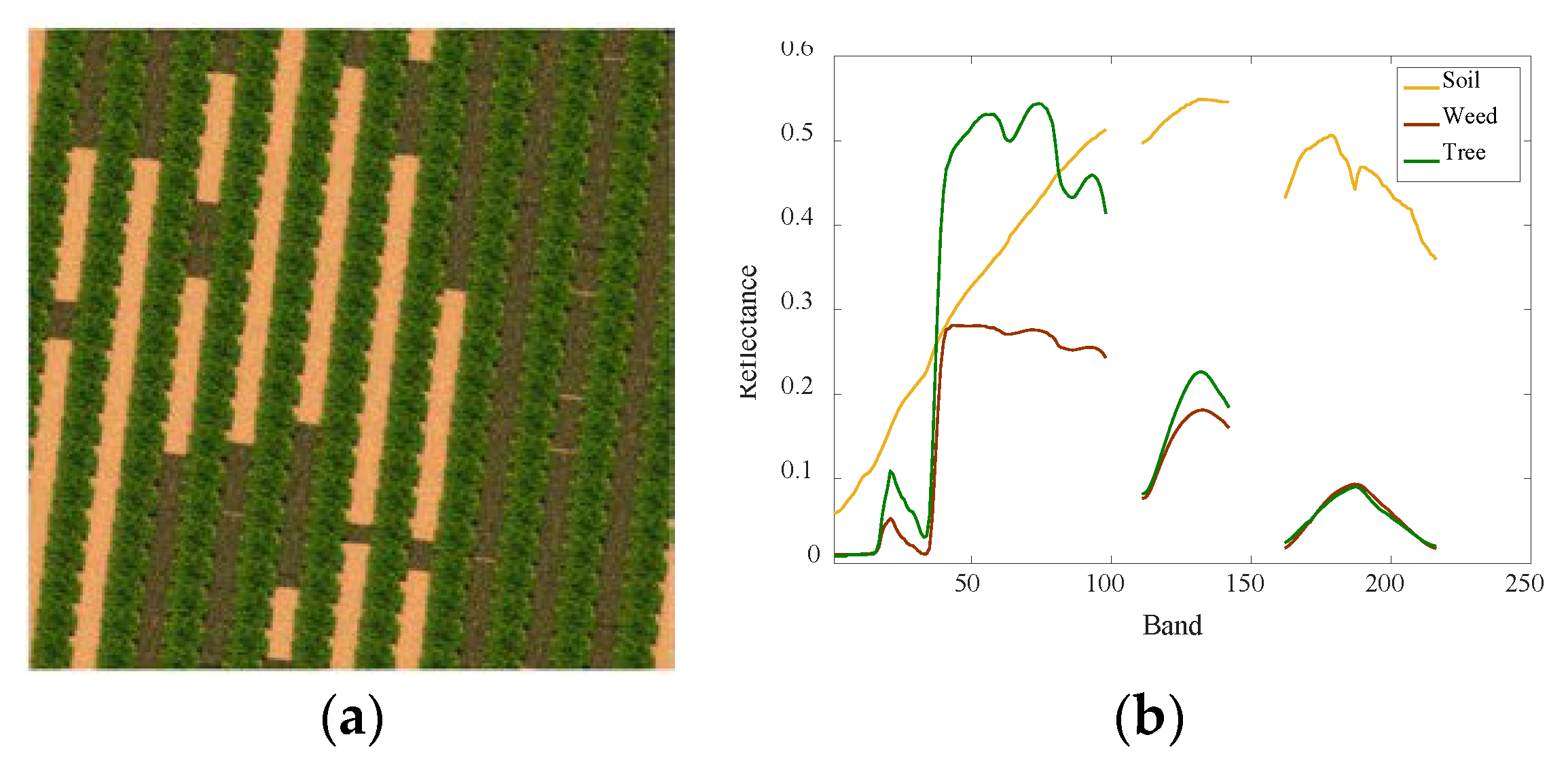 Remotesensing 10 00801 g012
