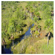 Remotesensing 10 00808 i007